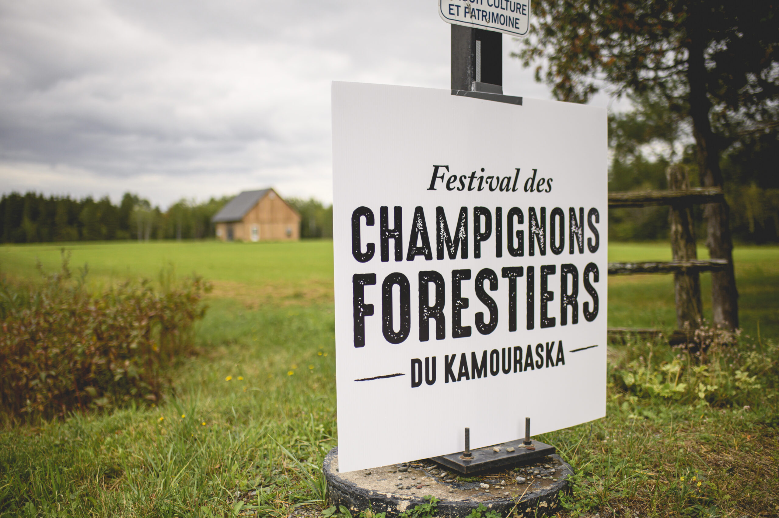 Featured image for “Le Festival des champignons forestiers lauréat d’un prix Excellence Tourisme 2022”